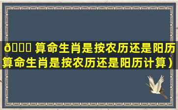 🕊 算命生肖是按农历还是阳历（算命生肖是按农历还是阳历计算）